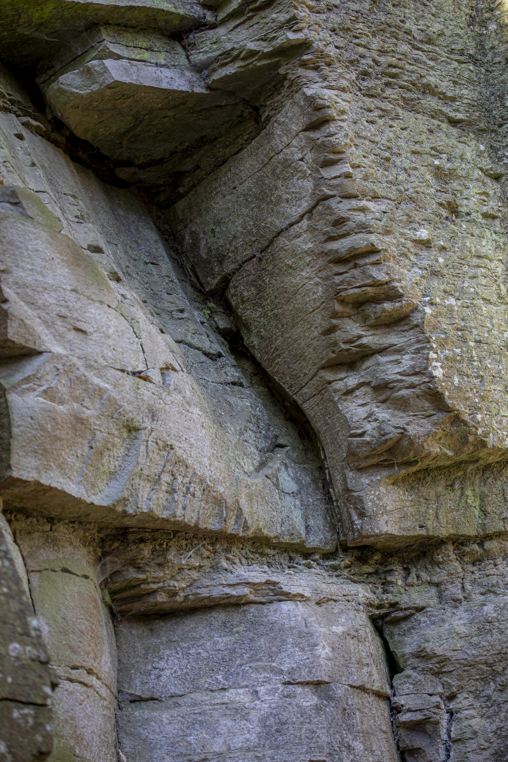 20251129121753 RD4 0777